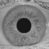 Iris Recognition